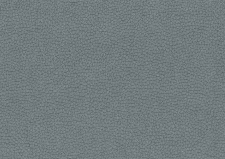 Gray Ice R2
