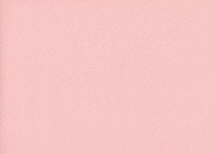 Pretty Pink 27